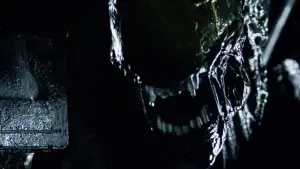 Backdrop to the movie "AVP: Alien vs. Predator" #650987