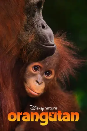 Poster to the movie "Orangutan" #798701