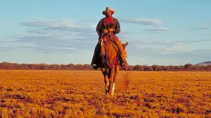 Backdrop to the movie "Quigley Down Under" #273617