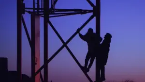 Backdrop to the movie "Stupid Bird" #450975