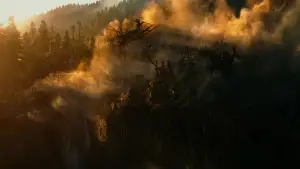 Backdrop to the movie "Dawn of the Planet of the Apes" #596976