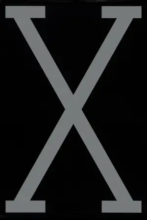 Poster to the movie "Malcolm X" #112569