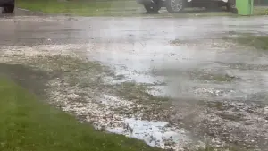 Backdrop to the movie "Drizzle of the Rain" #460274