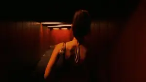 Backdrop to the movie "Irreversible" #772032