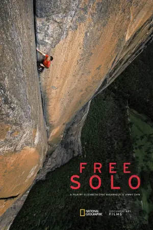 Poster to the movie "Free Solo" #621488