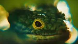 Backdrop to the movie "Blink Twice" #780307