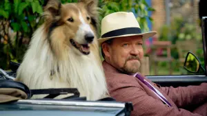 Backdrop to the movie "Lassie: A New Adventure" #503124