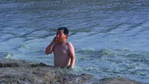 Backdrop to the movie "The Rib of the Greater Bay Area" #776383