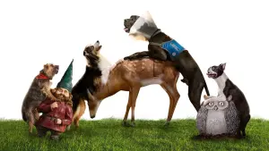 Backdrop to the movie "Strays" #212164