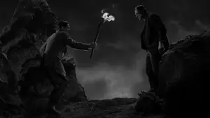 Backdrop to the movie "Frankenstein" #854532