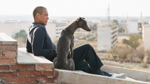 Backdrop to the movie "Black Dog" #600686