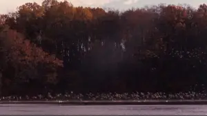 Backdrop to the movie "Dead Poets Society" #573886