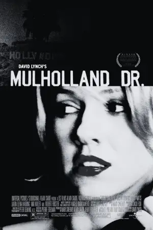 Poster to the movie "Mulholland Drive" #837013