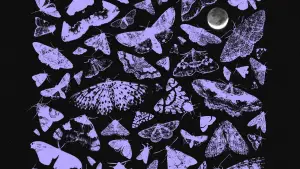 Backdrop to the movie "Nocturnes" #787091