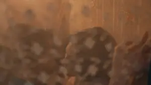 Backdrop to the movie "Norma: Antara Mertua dan Menantu" #673466