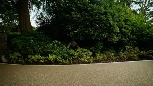 Backdrop to the movie "Bugonia" #511775