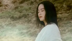 Backdrop to the movie "Ashes of Time" #731515