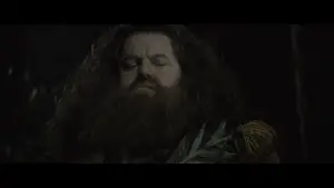 Backdrop to the movie "Harry Potter and the Goblet of Fire" #556581