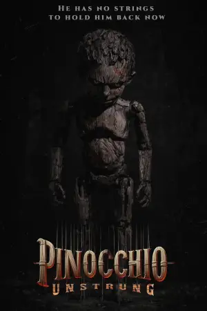 Poster to the movie "Pinocchio: Unstrung" #834233
