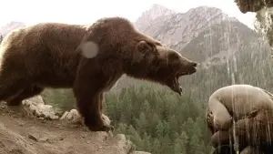 Backdrop to the movie "The Bear" #246287