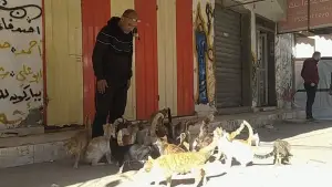 Backdrop to the movie "From Ground Zero" #682196