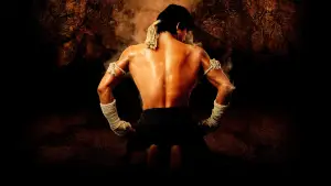 Backdrop to the movie "Ong-Bak" #803872