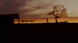 Backdrop to the movie "Unforgiven" #657923