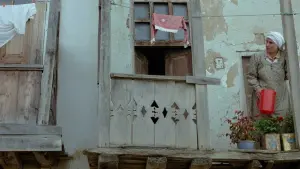 Backdrop to the movie "Where Is My Friend