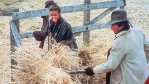 Backdrop to the movie "Days of Heaven" #786589