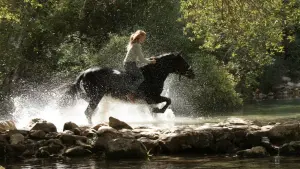 Backdrop to the movie "Windstorm 3" #423735