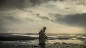 Backdrop to the movie "The Colony" #334613