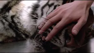 Manhunter
