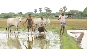 Backdrop to the movie "Bison Kaalamaadan" #786354