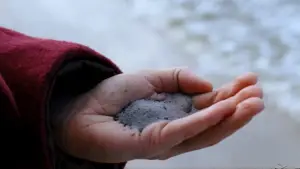 Backdrop to the movie "The Chronology of Water" #763148