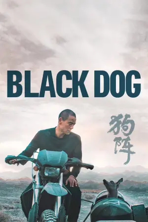 Poster to the movie "Black Dog" #600735