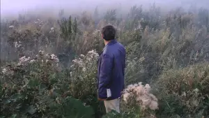 Backdrop to the movie "Solaris" #731596