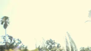Backdrop to the movie "The Backseat Killer" #481080