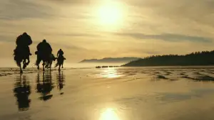 Backdrop to the movie "War for the Planet of the Apes" #585961