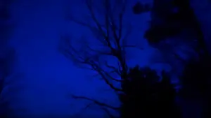 Backdrop to the movie "Film Studies Project" #449026