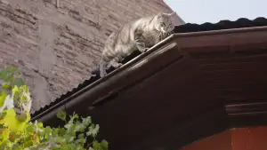 Backdrop to the movie "Letters to My Dead Parents" #784983