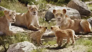 Backdrop to the movie "The Lion King" #581530