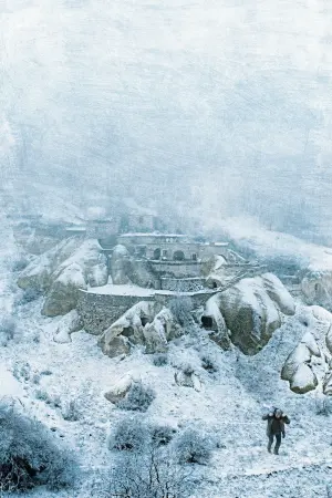 Poster to the movie "Winter Sleep" #206027