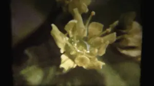 Backdrop to the movie "Adagio" #470065