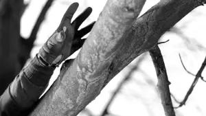 Backdrop to the movie "Ophélia" #506669