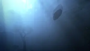 Backdrop to the movie "Flow" #464113