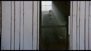 Backdrop to the movie "Witness" #672991