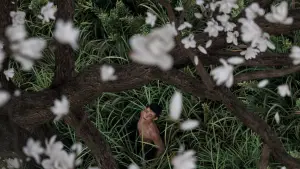 Backdrop to the movie "I Am What I Am 2" #629295