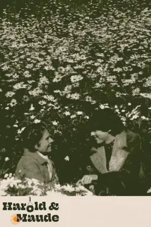 Poster to the movie "Harold and Maude" #206214