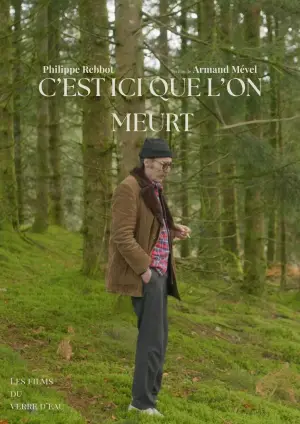 Movie poster "C