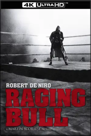 Poster to the movie "Raging Bull" #656161
